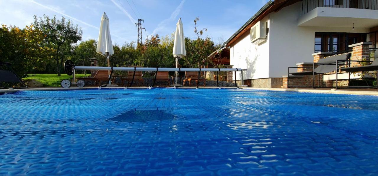 Къща За Гости Каза Роза - Swiss Style Chalet Casa Rosa Guest House Kyustendil Buitenkant foto